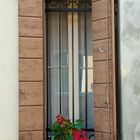 Blumenfenster