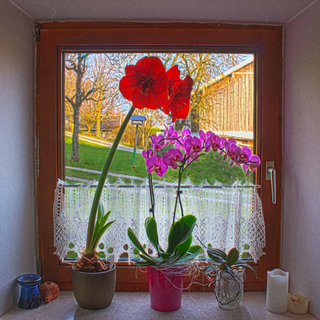 Blumenfenster