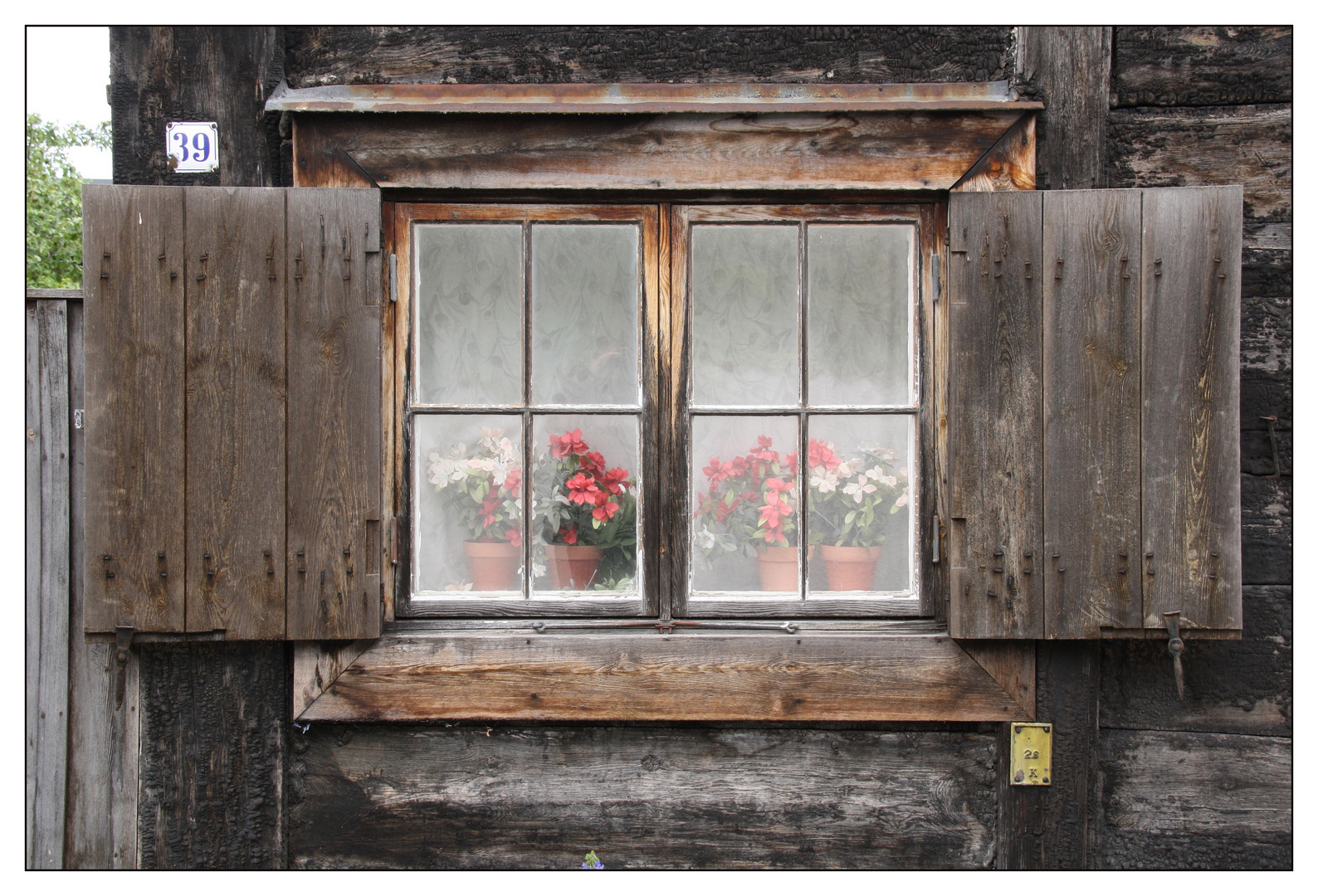 BlumenFenster