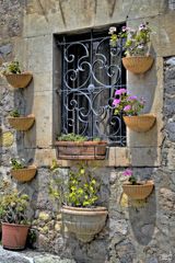 Blumenfenster