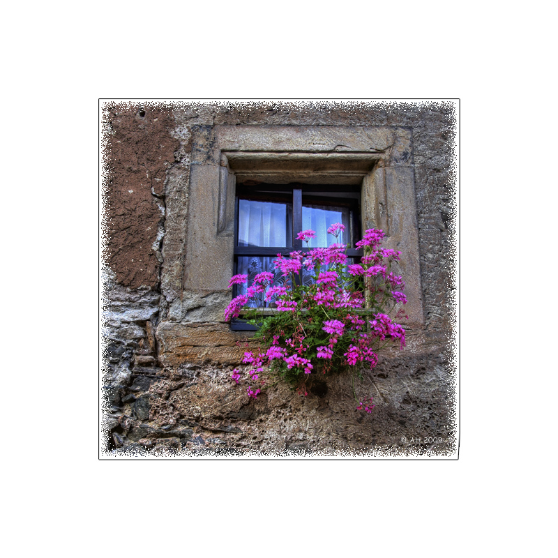 Blumenfenster