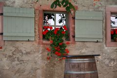 Blumenfenster