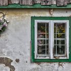 Blumenfenster