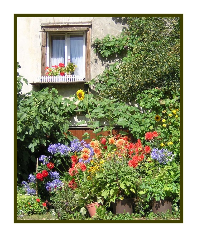 Blumenfenster