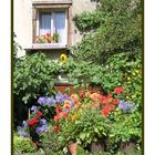 Blumenfenster