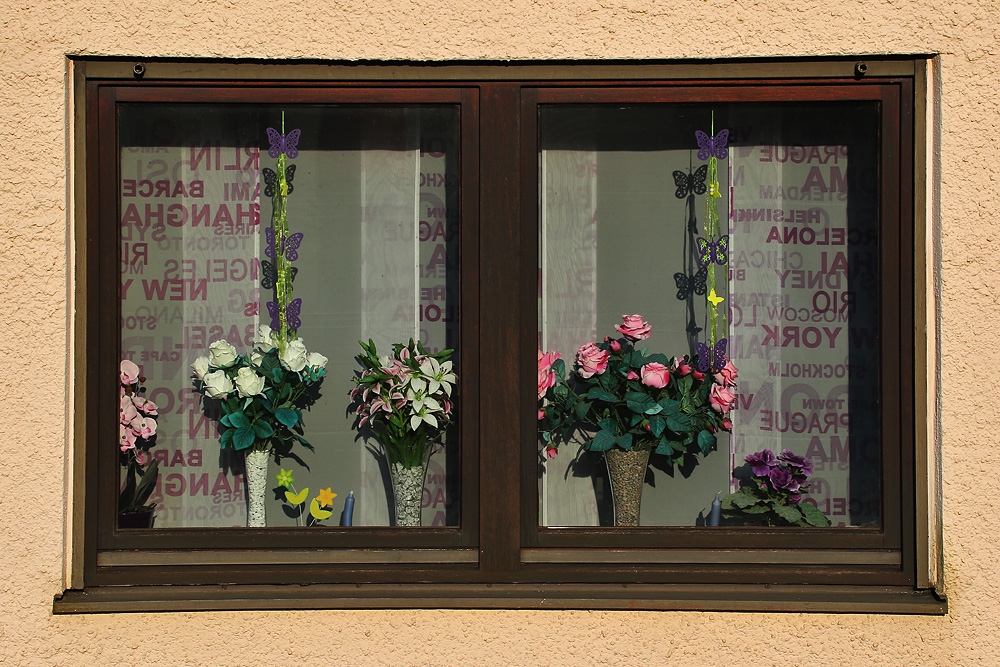 Blumenfenster