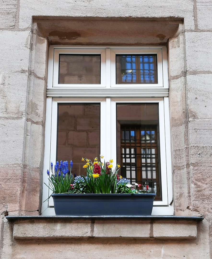 Blumenfenster