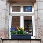 Blumenfenster