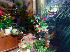 Blumenfenster