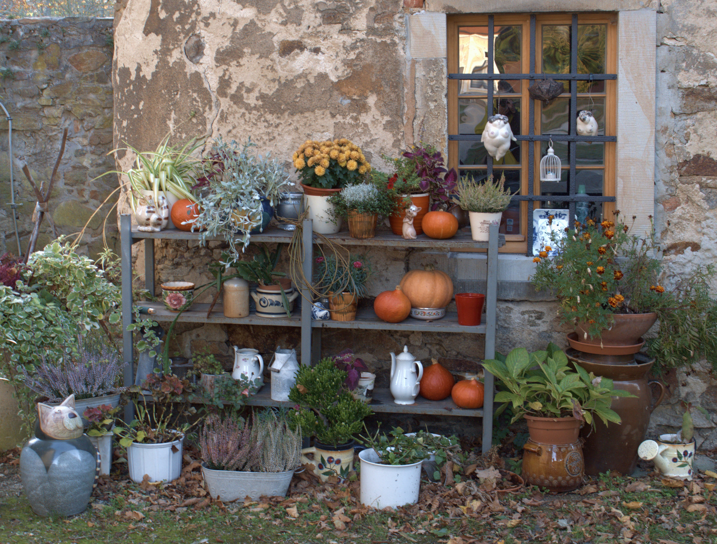 Blumenfenster im Herbst