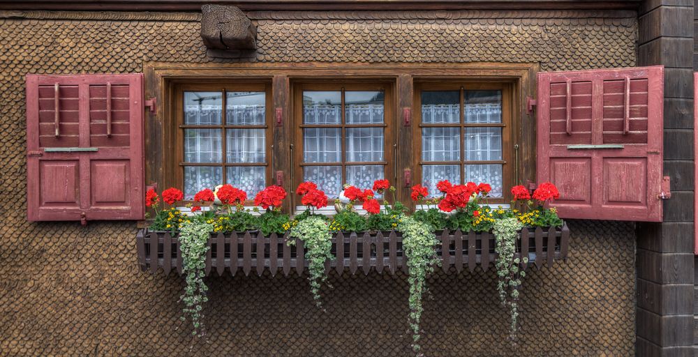 Blumenfenster im Wallis (2)