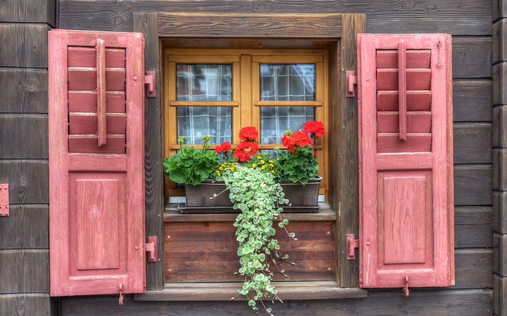 Blumenfenster im Wallis