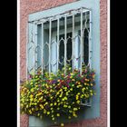 Blumenfenster in der Badstrasse