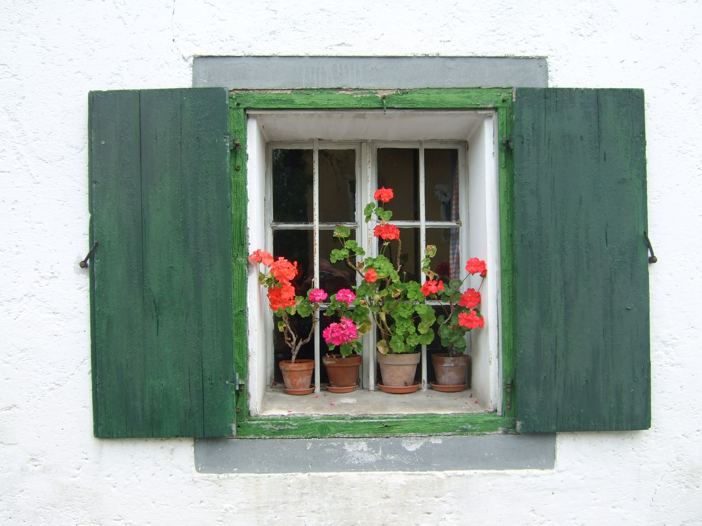 Blumenfenster in Schladming