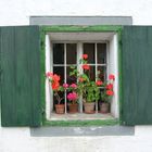 Blumenfenster in Schladming