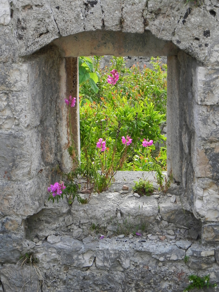 Blumenfenster mal anders