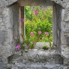 Blumenfenster mal anders