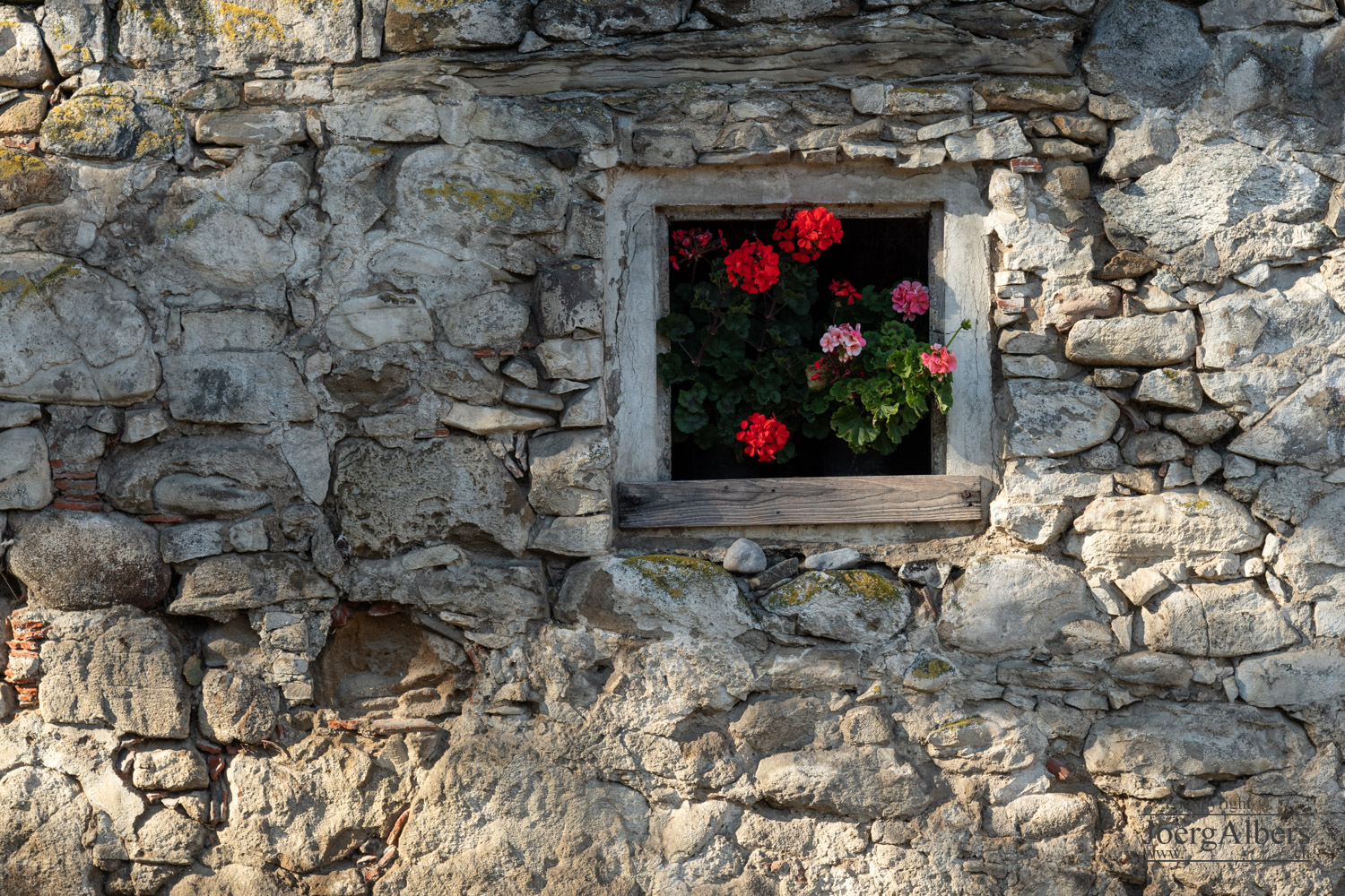 Blumenfenster oberhalb Obernau