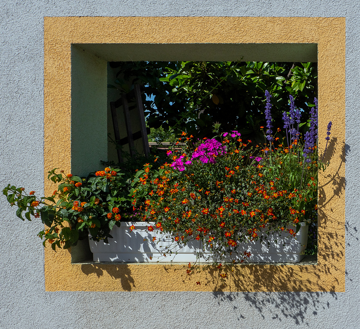 blumenfensterdurchblick