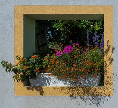 blumenfensterdurchblick