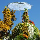 Blumenfest auf Madeira