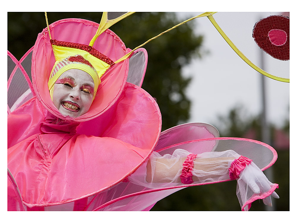 Blumenfest, Christchurch, New Zealand