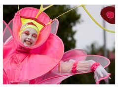 Blumenfest, Christchurch, New Zealand