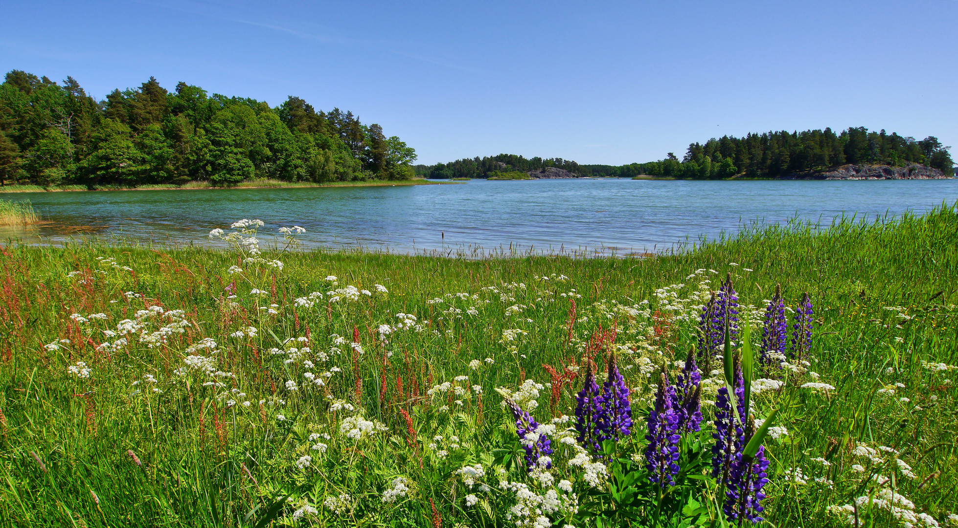 Blumenfjord - Schweden