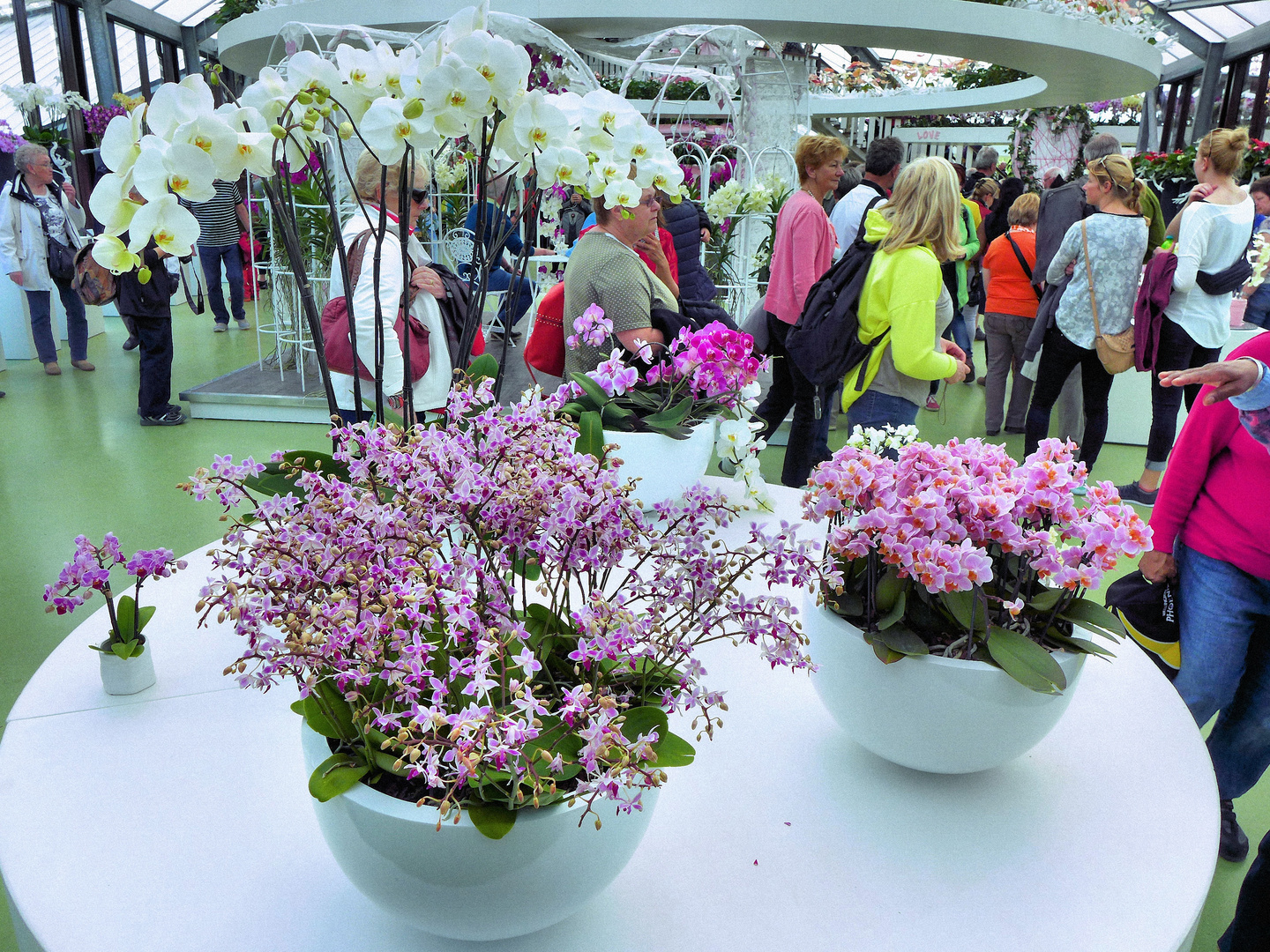 Blumenfreude im Keukenhof