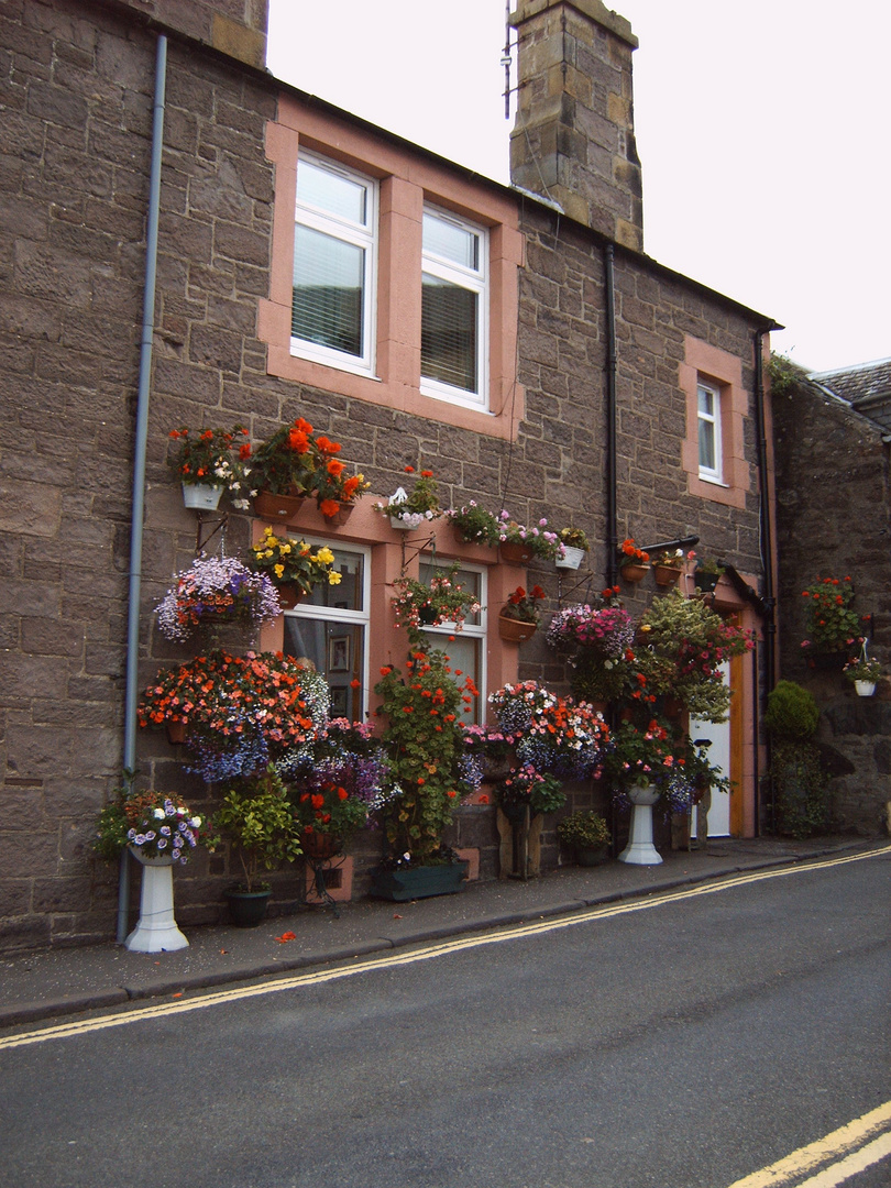 Blumenfreund in CRIEFF/Schottland 