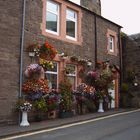 Blumenfreund in CRIEFF/Schottland 