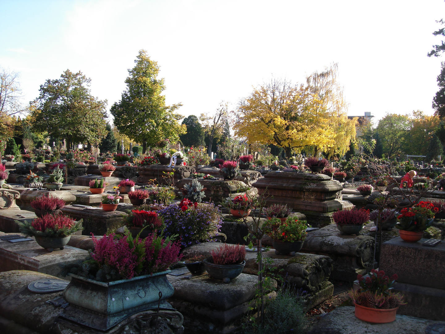 Blumenfriedhof