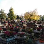 Blumenfriedhof