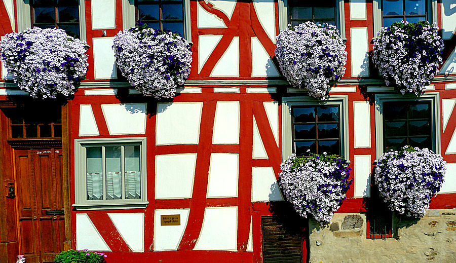 Blumenfülle an einem Fachwerkhaus in Limburg/Lahn