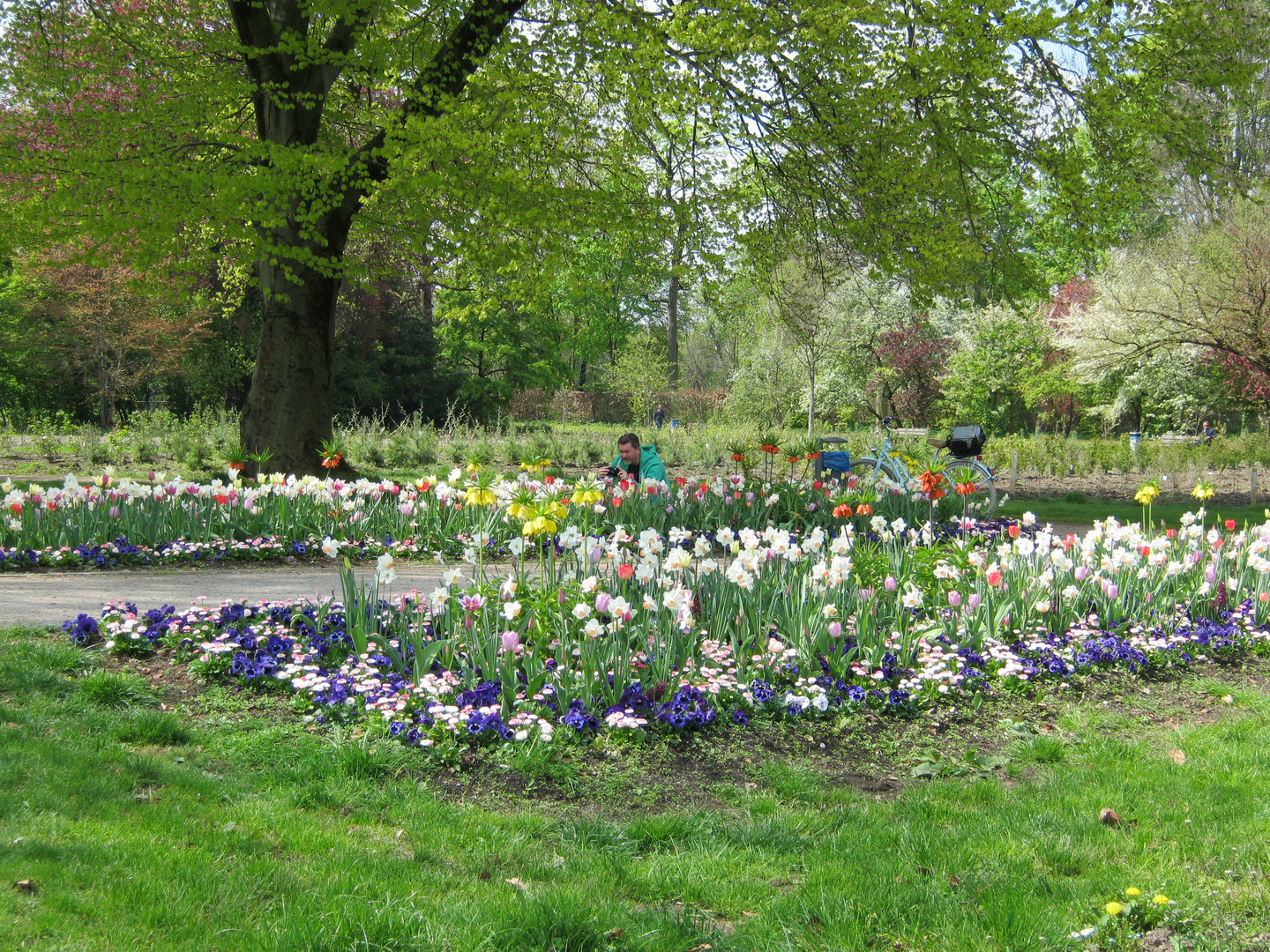 57+ Blumenring Garten, Aber dabei muss es nicht bleiben.