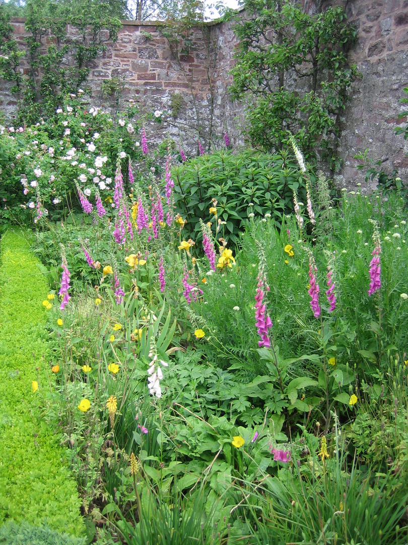 Blumengarten in Schottland 2014