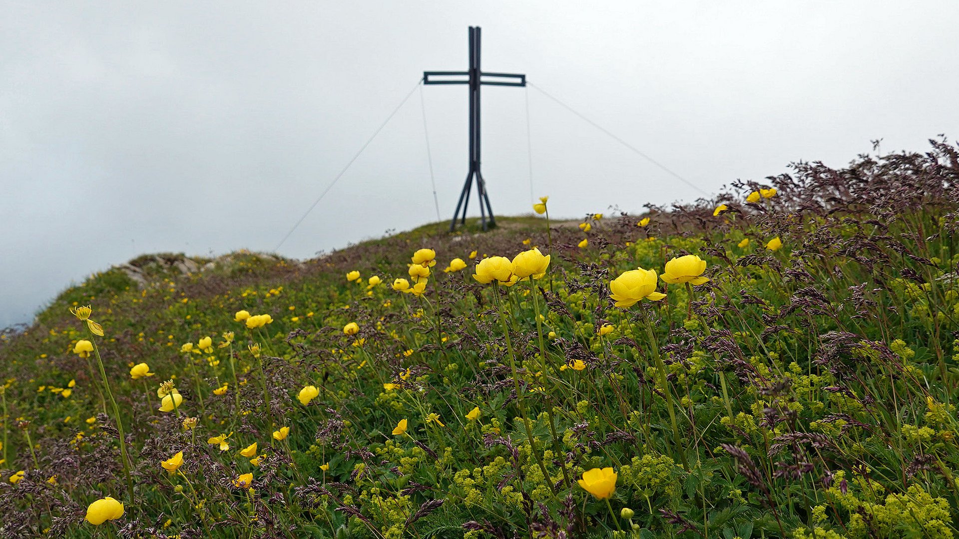 Blumengipfel