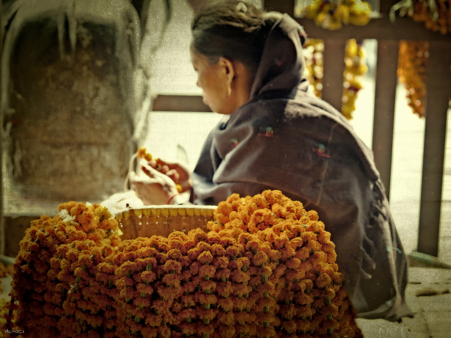 Blumengirlanden Foto Bild Nepal World Orange Bilder Auf Fotocommunity