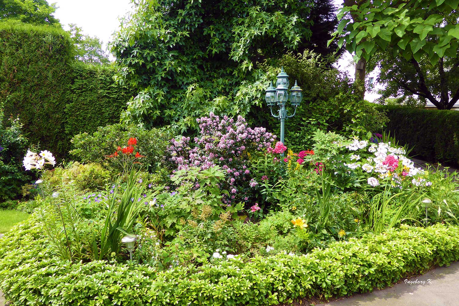 Blumengrüße im Juli