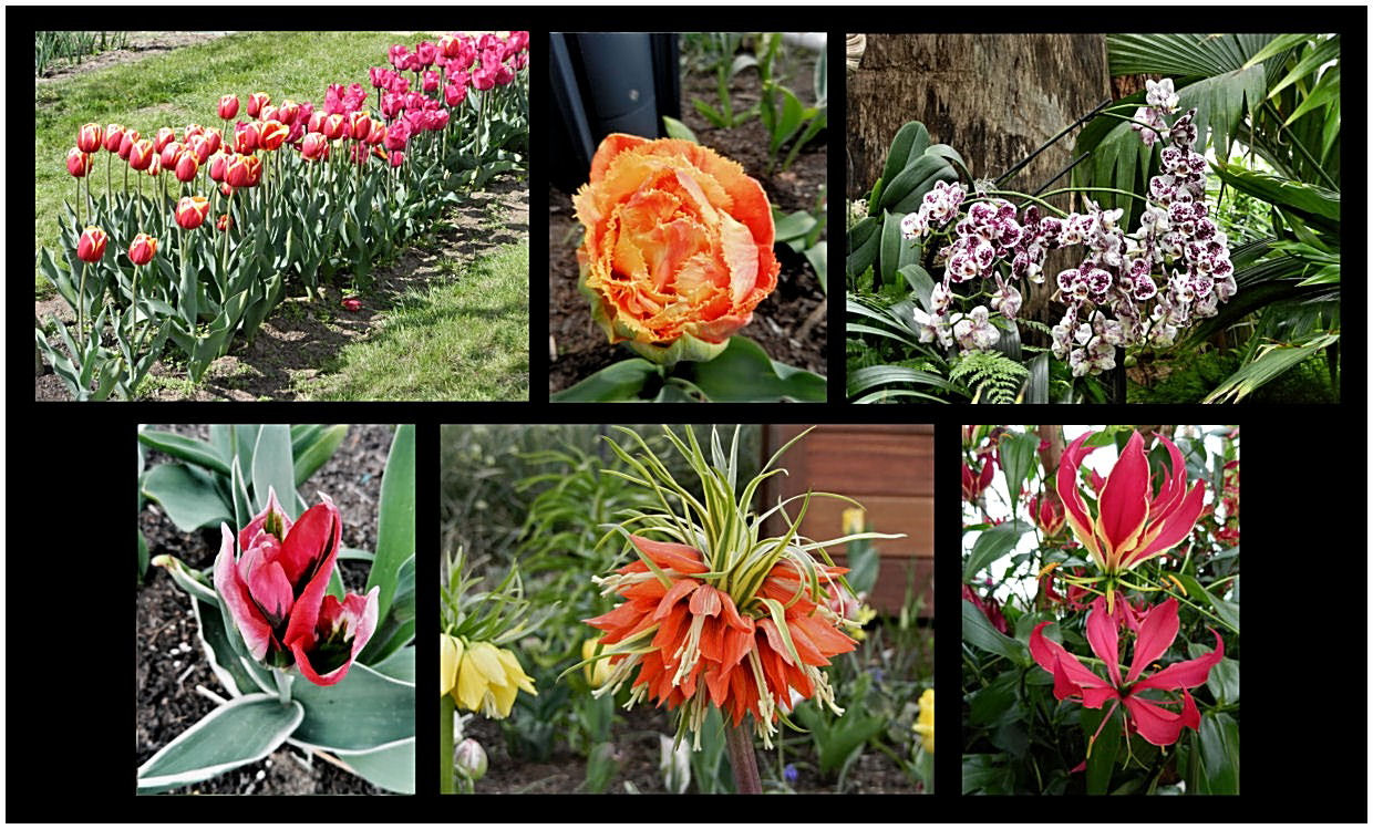 Blumengrüße von der FLORIADE 2012