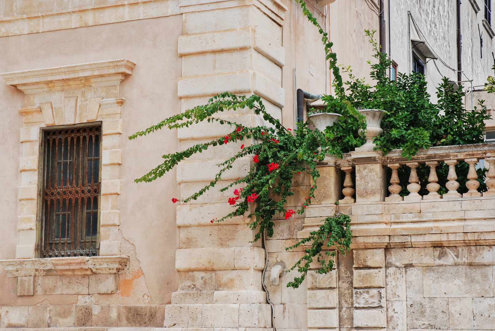 Blumengruß aus Siracusa