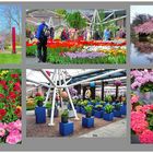 Blumenhallen in Keukenhof