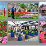 Blumenhallen in Keukenhof