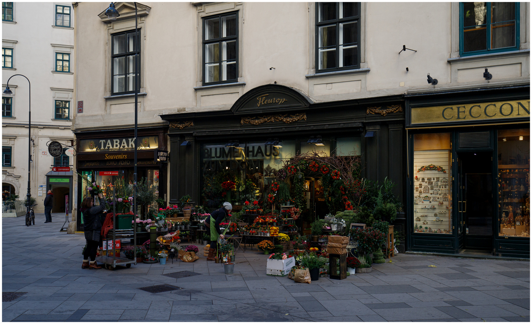 Blumenhaus am Stephansplatz