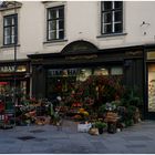 Blumenhaus am Stephansplatz