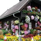 Blumenhaus in Österreich