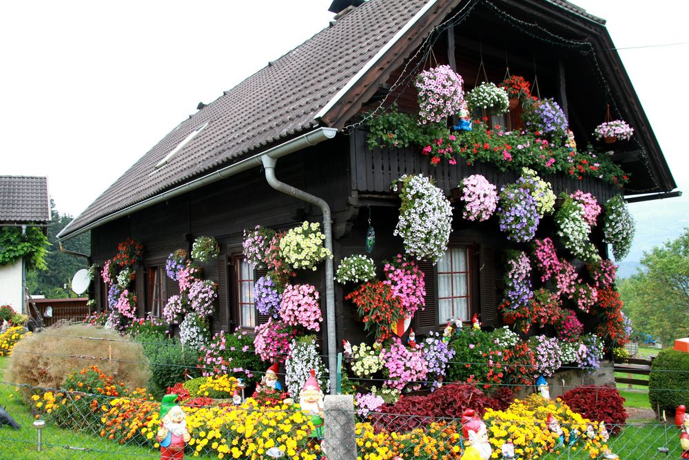 Blumenhaus in Österreich Foto & Bild architektur, ländliche