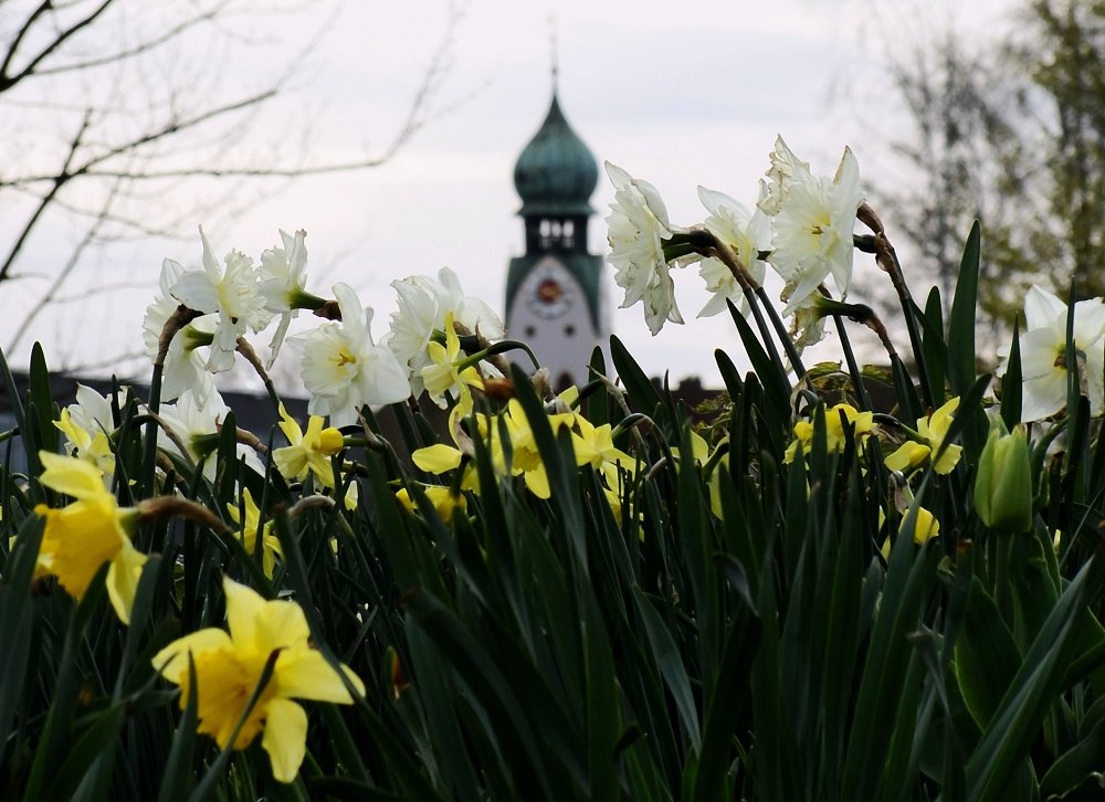 Blumen.Heim