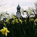 Blumen.Heim