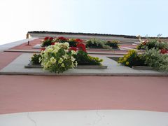 Blumen,Himmel und Haus